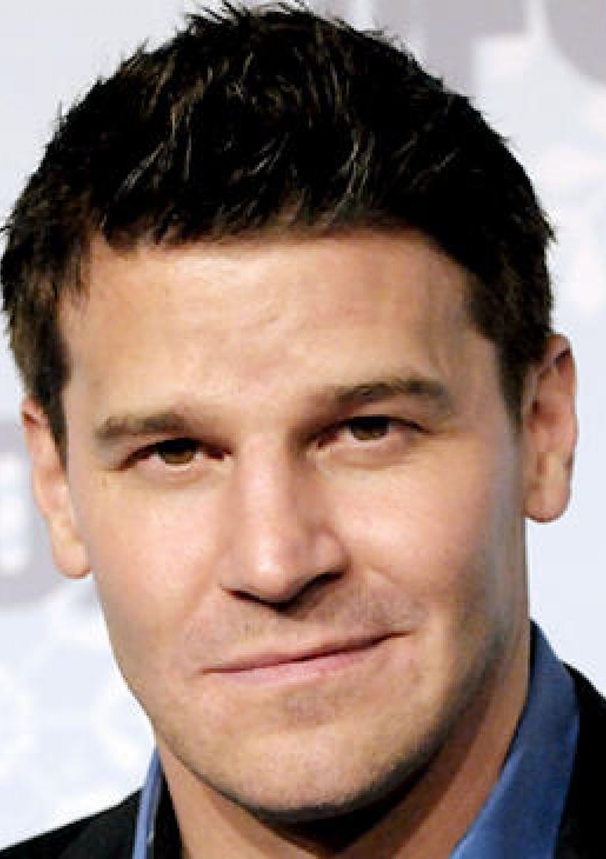 Pictures of David Boreanaz