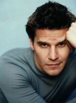 David Boreanaz