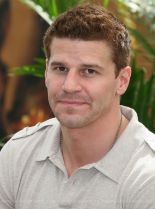 David Boreanaz