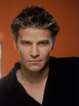 David Boreanaz photo
