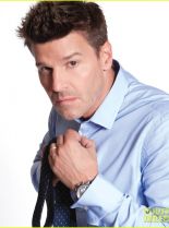 David Boreanaz photo