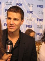 David Boreanaz