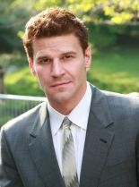David Boreanaz