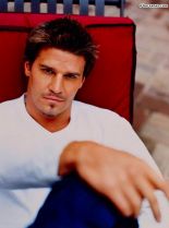 David Boreanaz