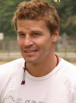 David Boreanaz