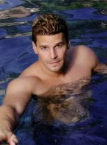 David Boreanaz