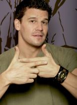 David Boreanaz