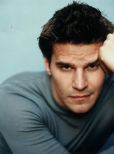 David Boreanaz