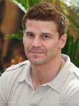 David Boreanaz