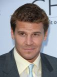 David Boreanaz