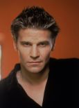 David Boreanaz