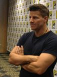 David Boreanaz