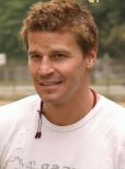 David Boreanaz
