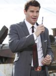 David Boreanaz