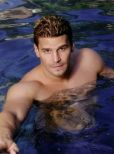 David Boreanaz