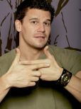 David Boreanaz