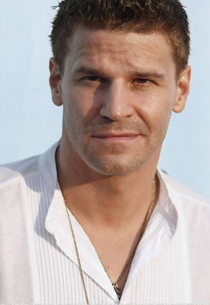 David Boreanaz