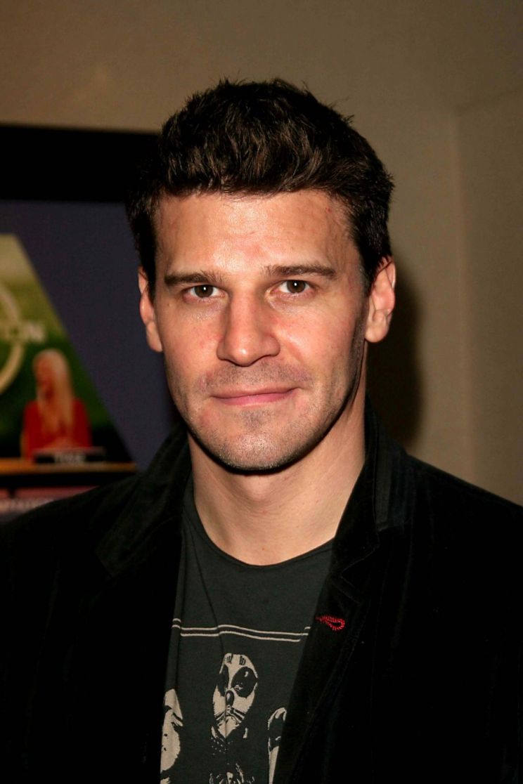 David Boreanaz