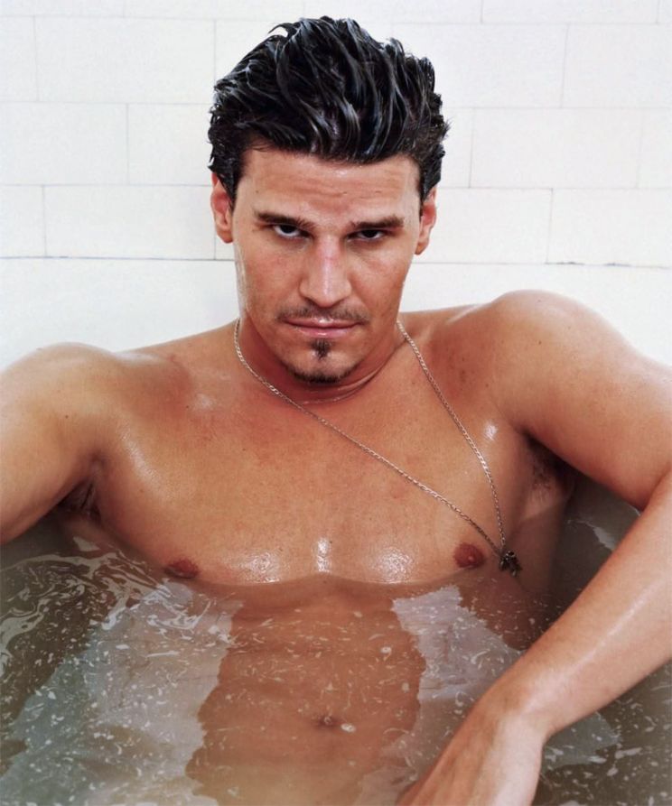 David Boreanaz