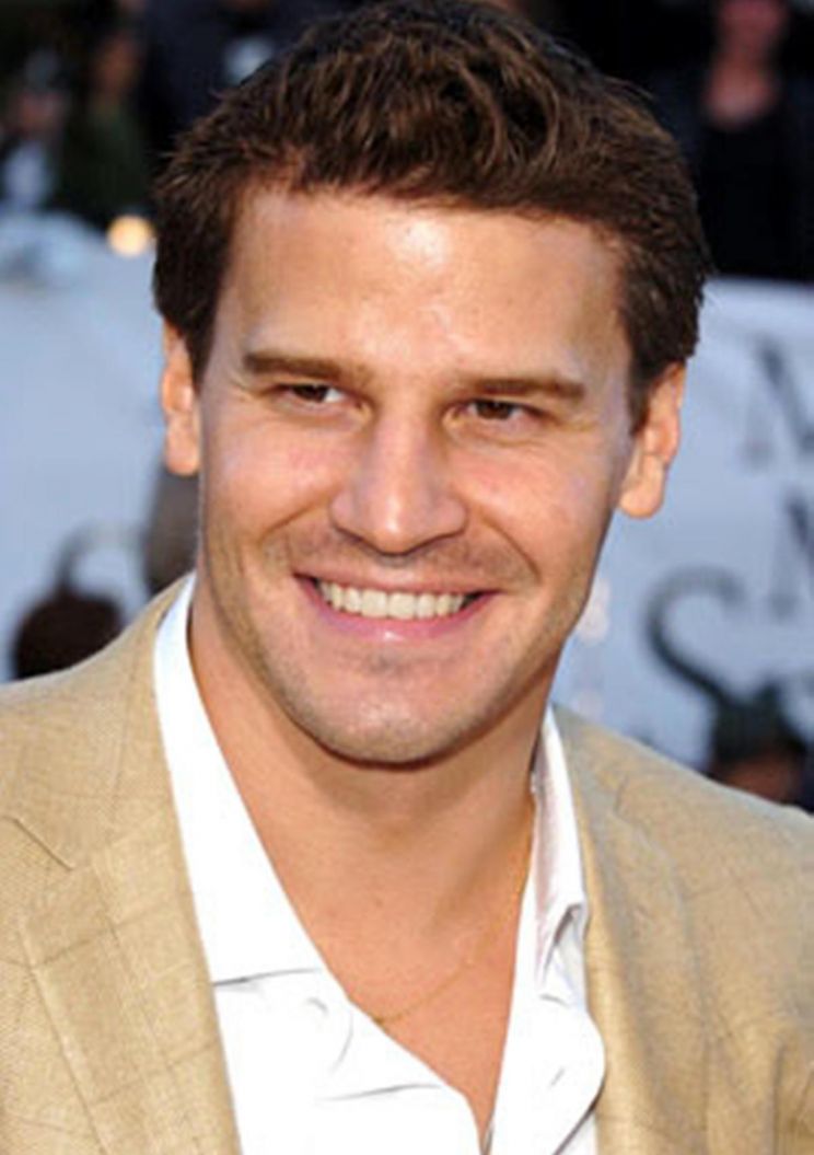 David Boreanaz