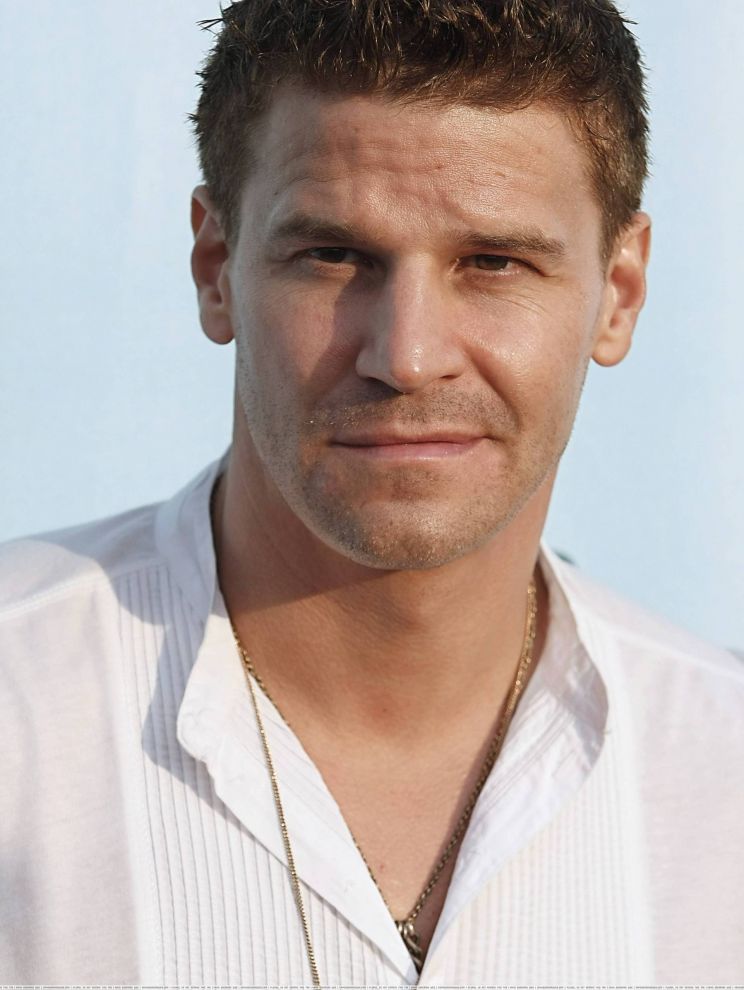 David Boreanaz