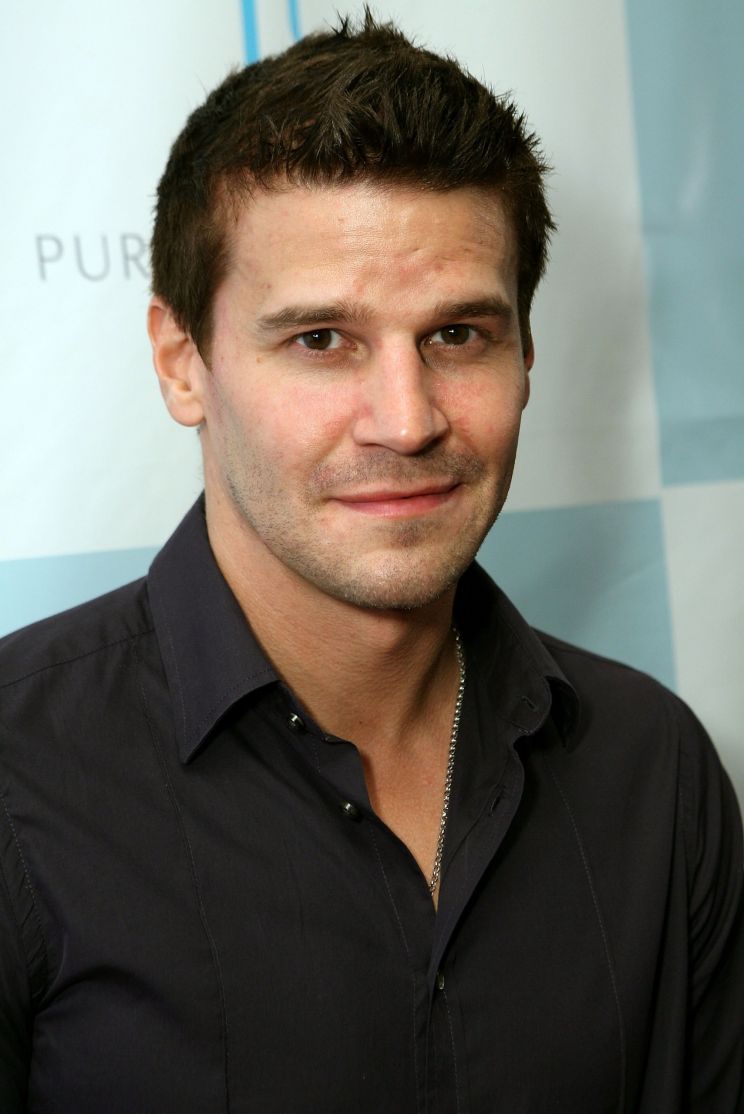 David Boreanaz