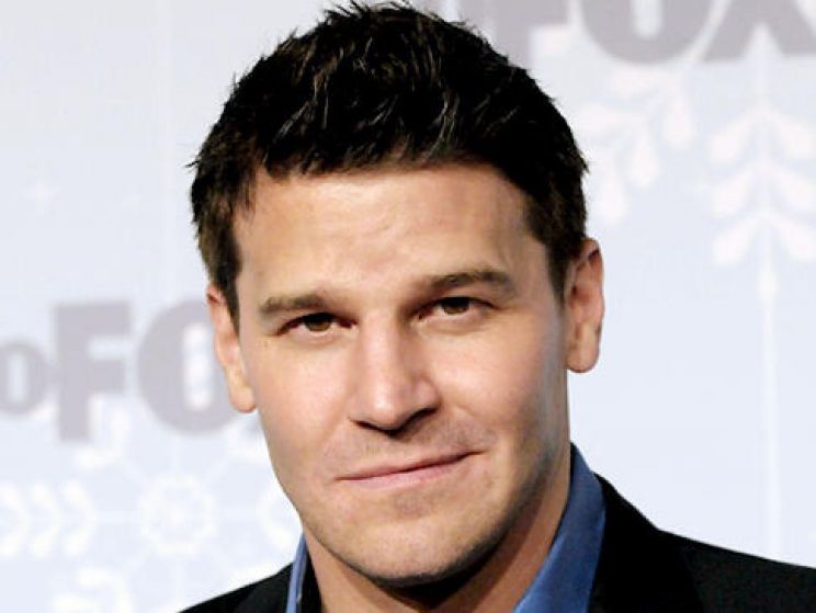 David Boreanaz