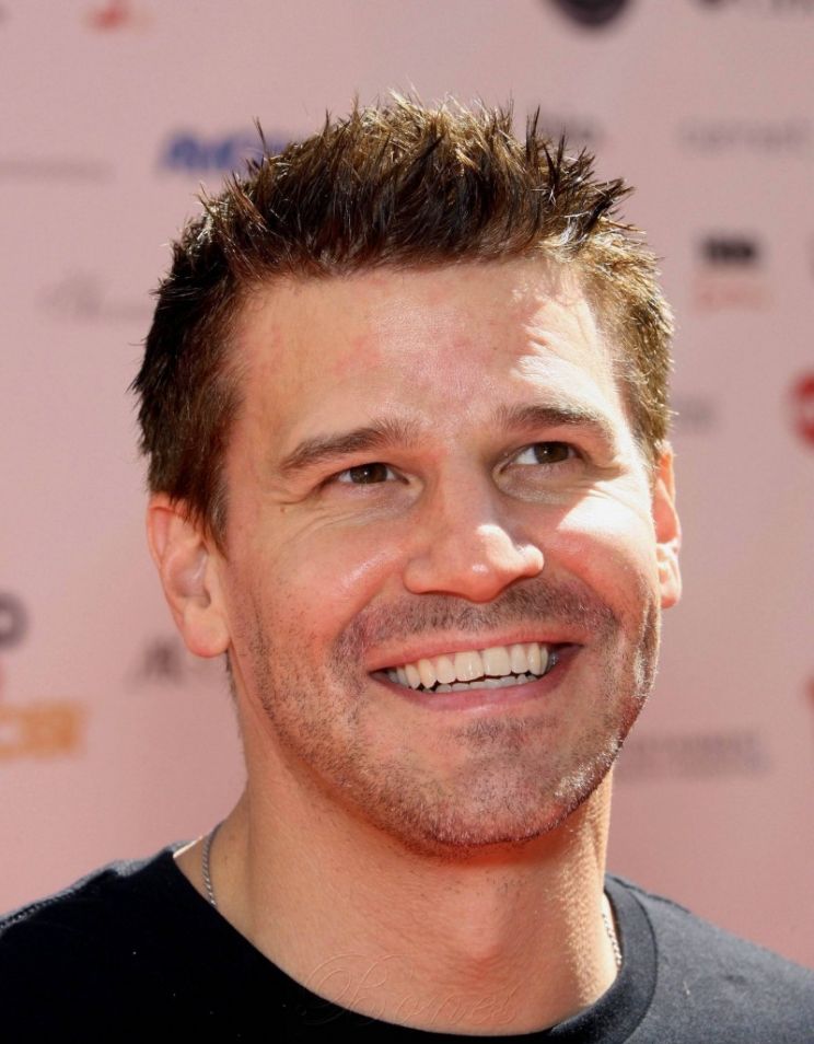 David Boreanaz