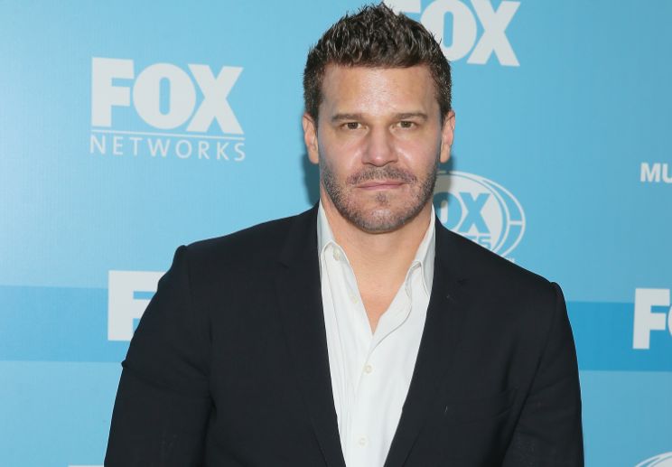 David Boreanaz