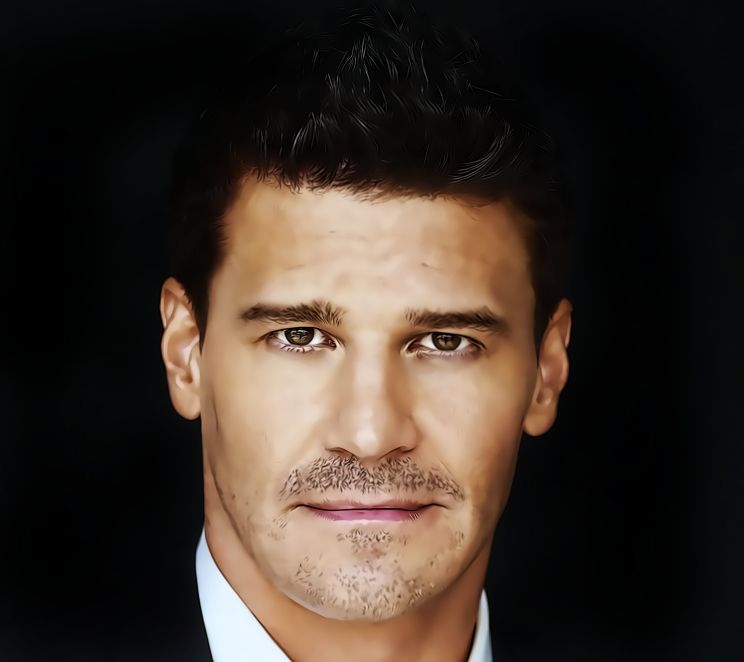David Boreanaz