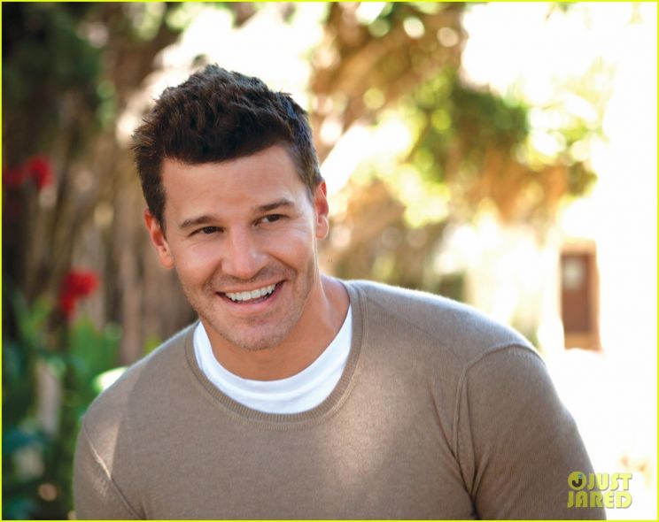 David Boreanaz