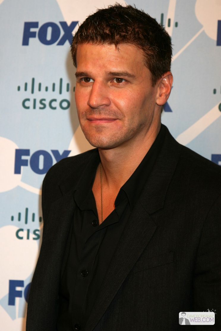 David Boreanaz