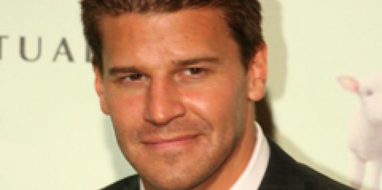 David Boreanaz