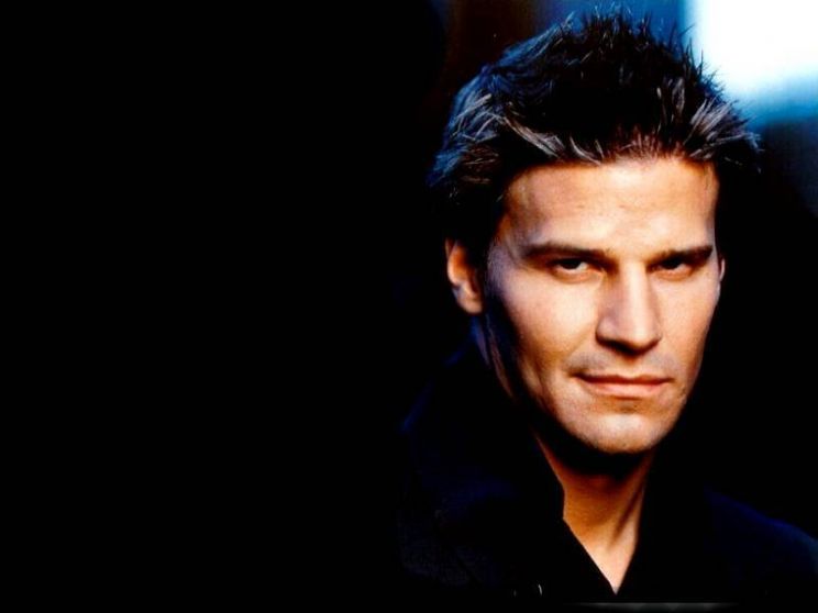 David Boreanaz