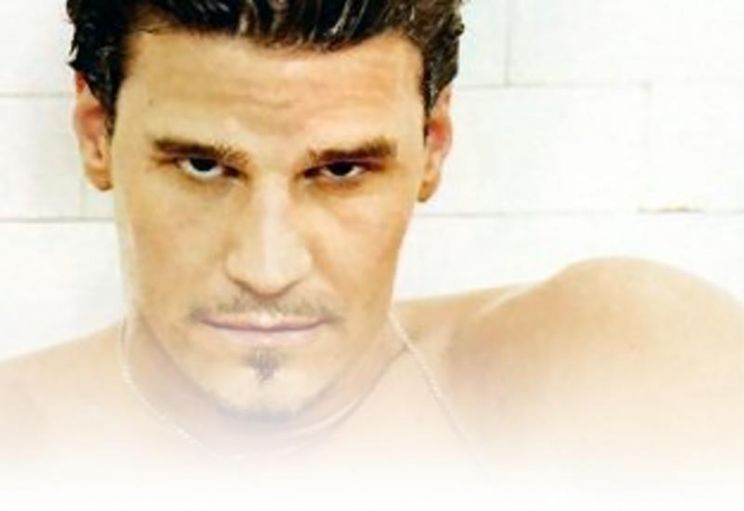 David Boreanaz