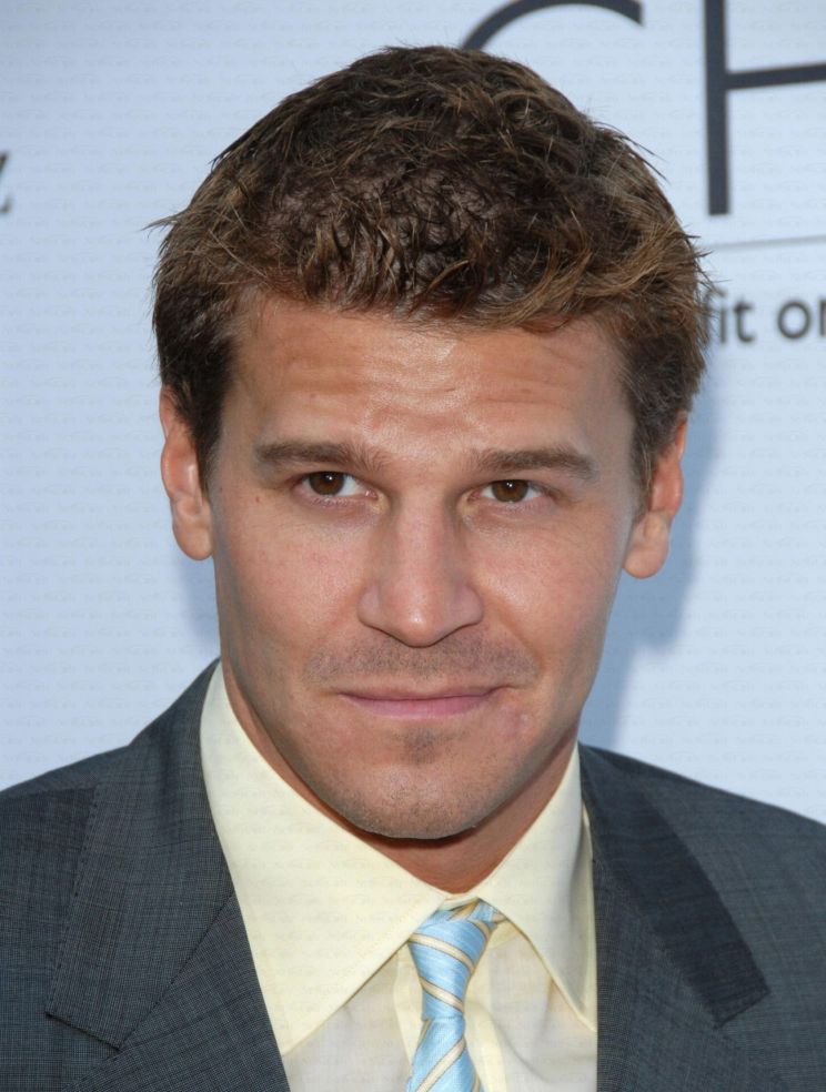 David Boreanaz