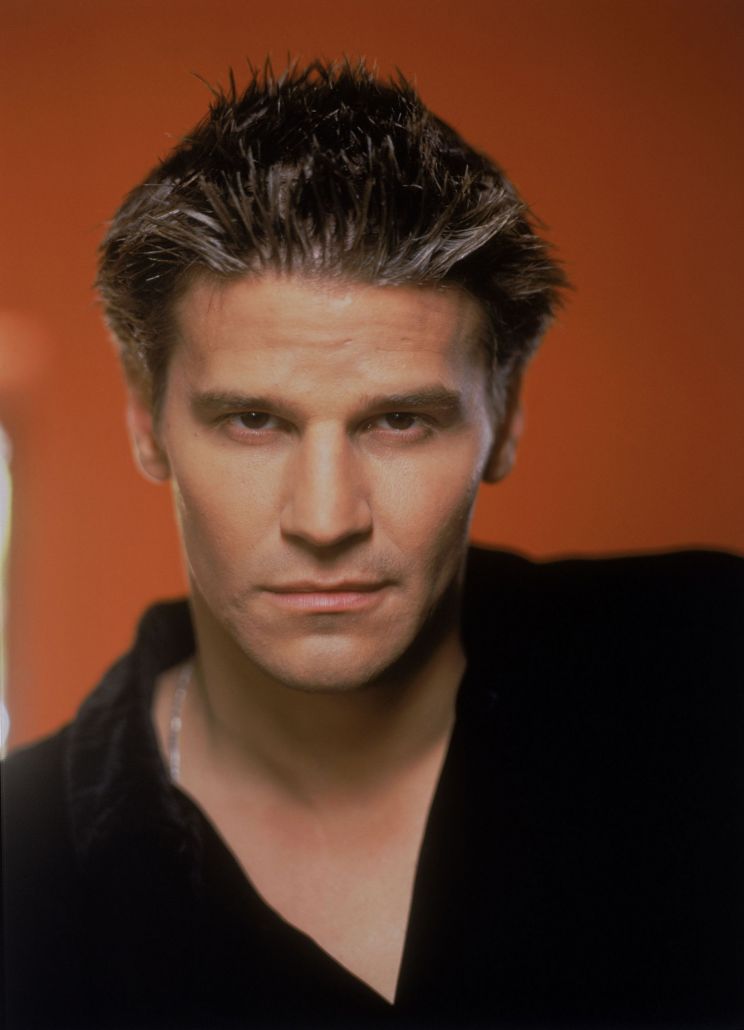 David Boreanaz