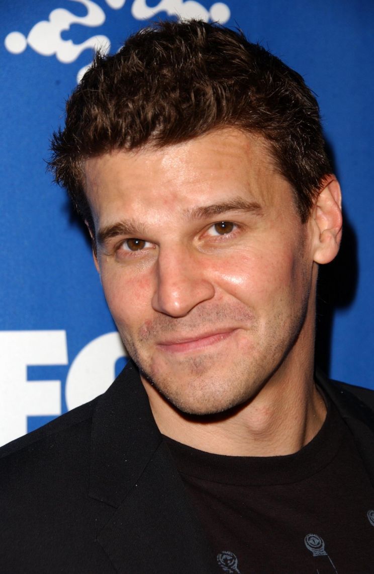 David Boreanaz