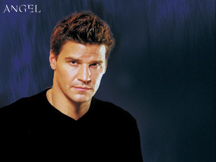 David Boreanaz