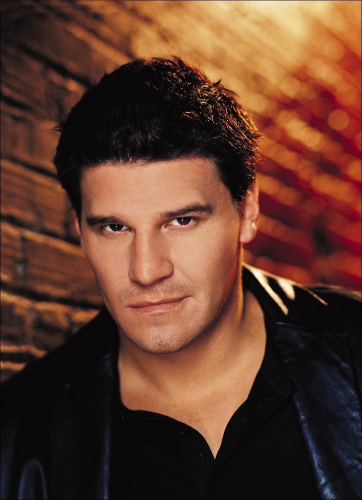 David Boreanaz