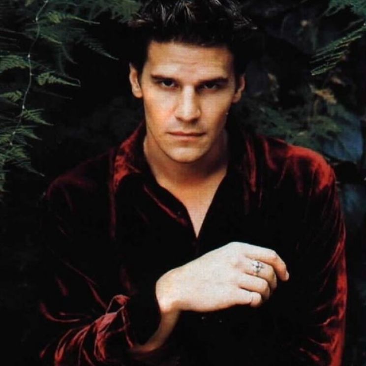 David Boreanaz