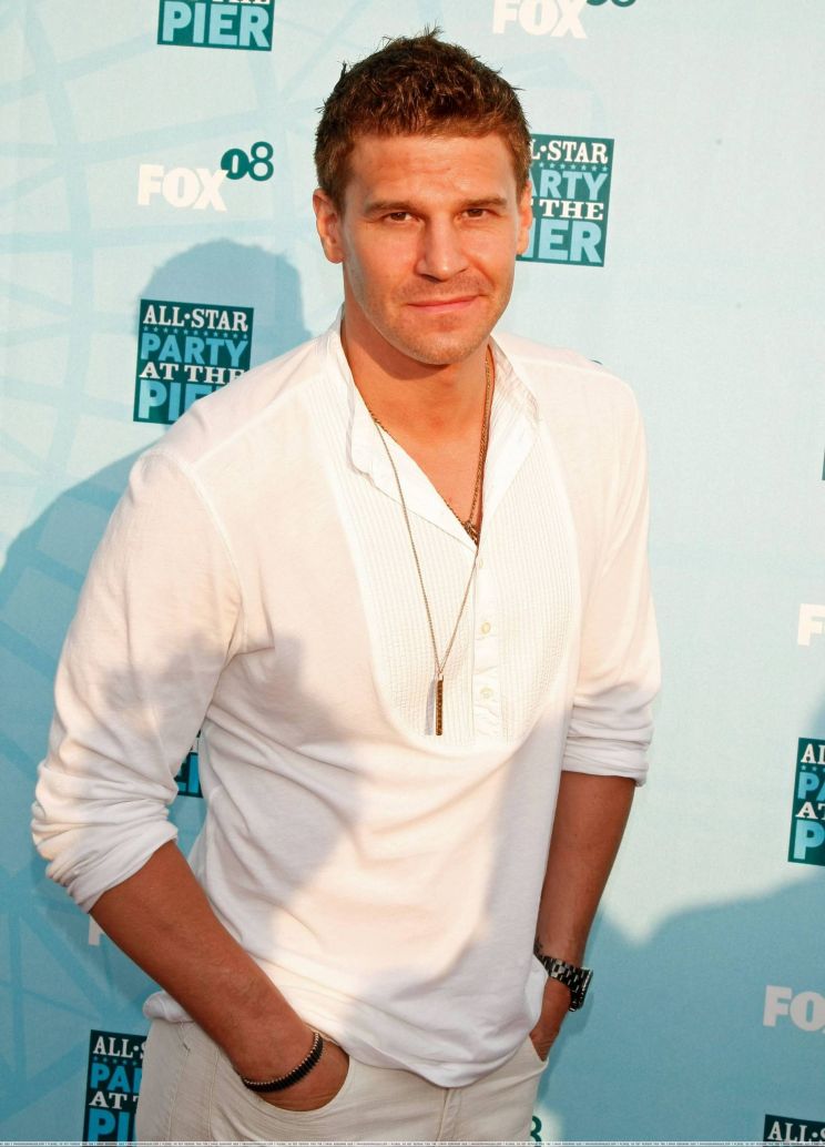 David Boreanaz