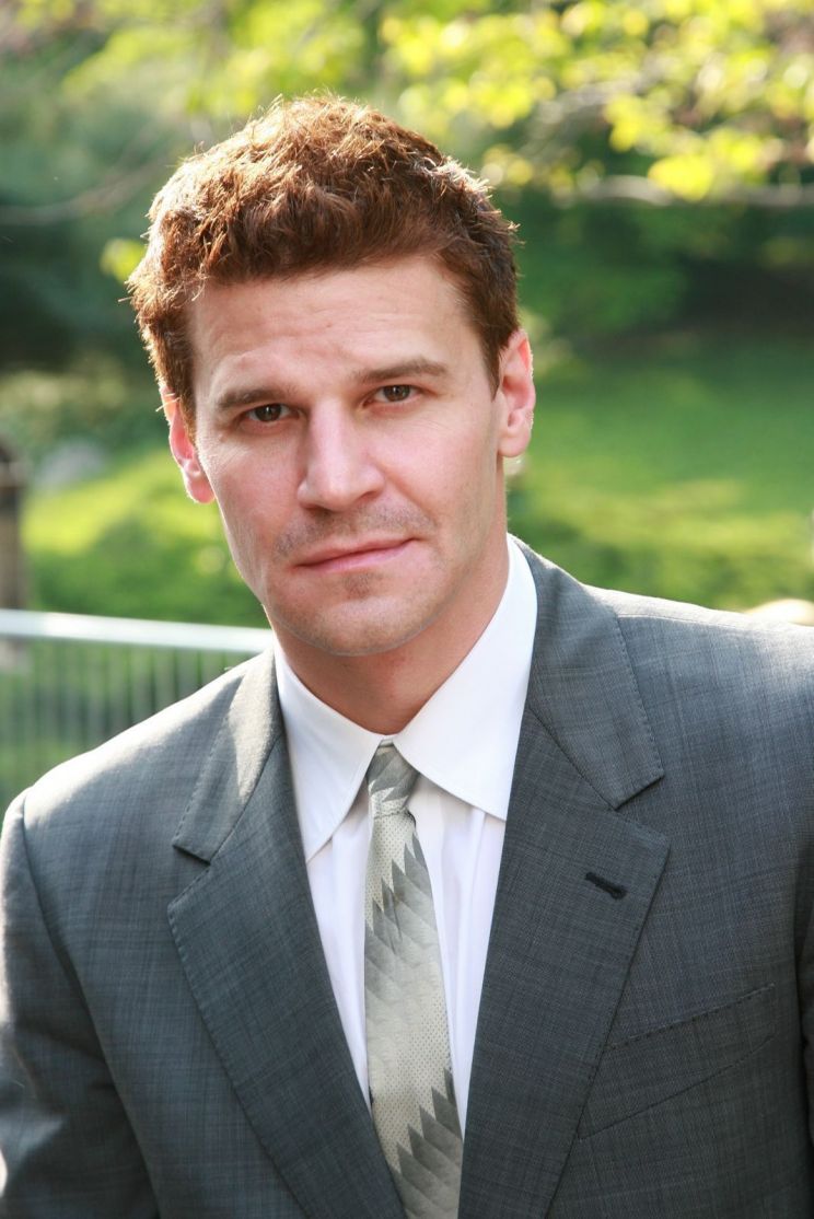 David Boreanaz