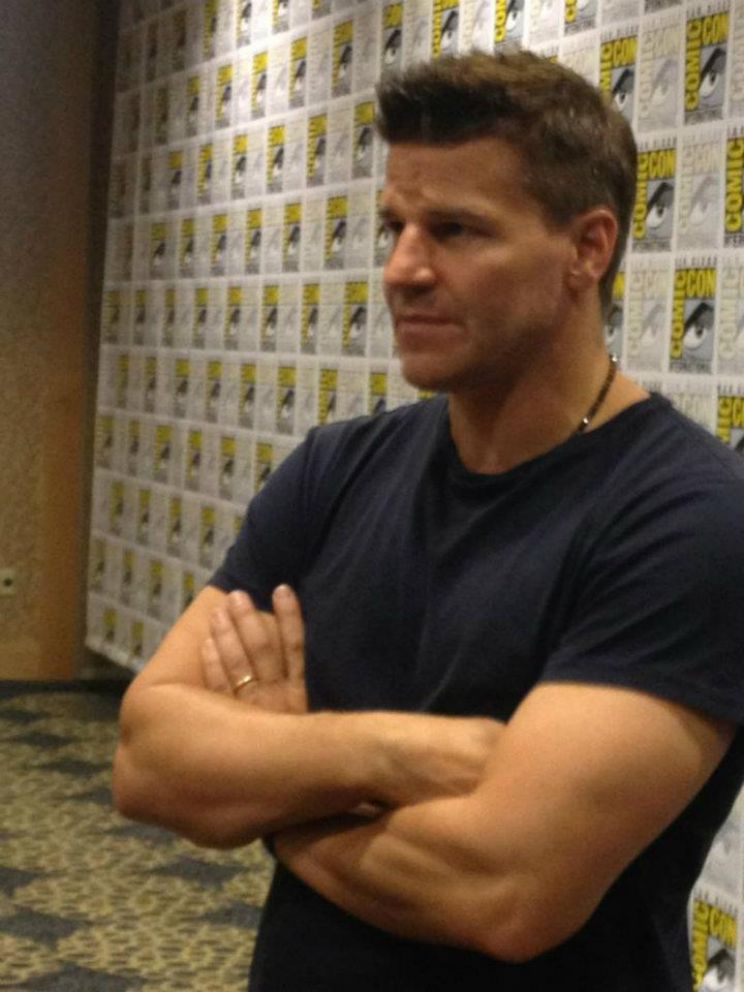David Boreanaz