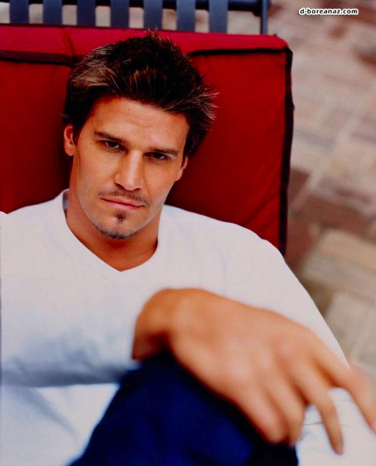 David Boreanaz