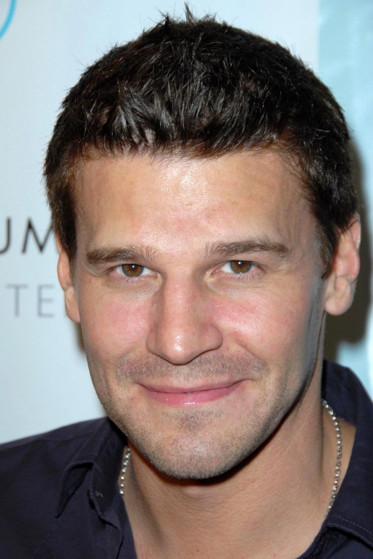 David Boreanaz