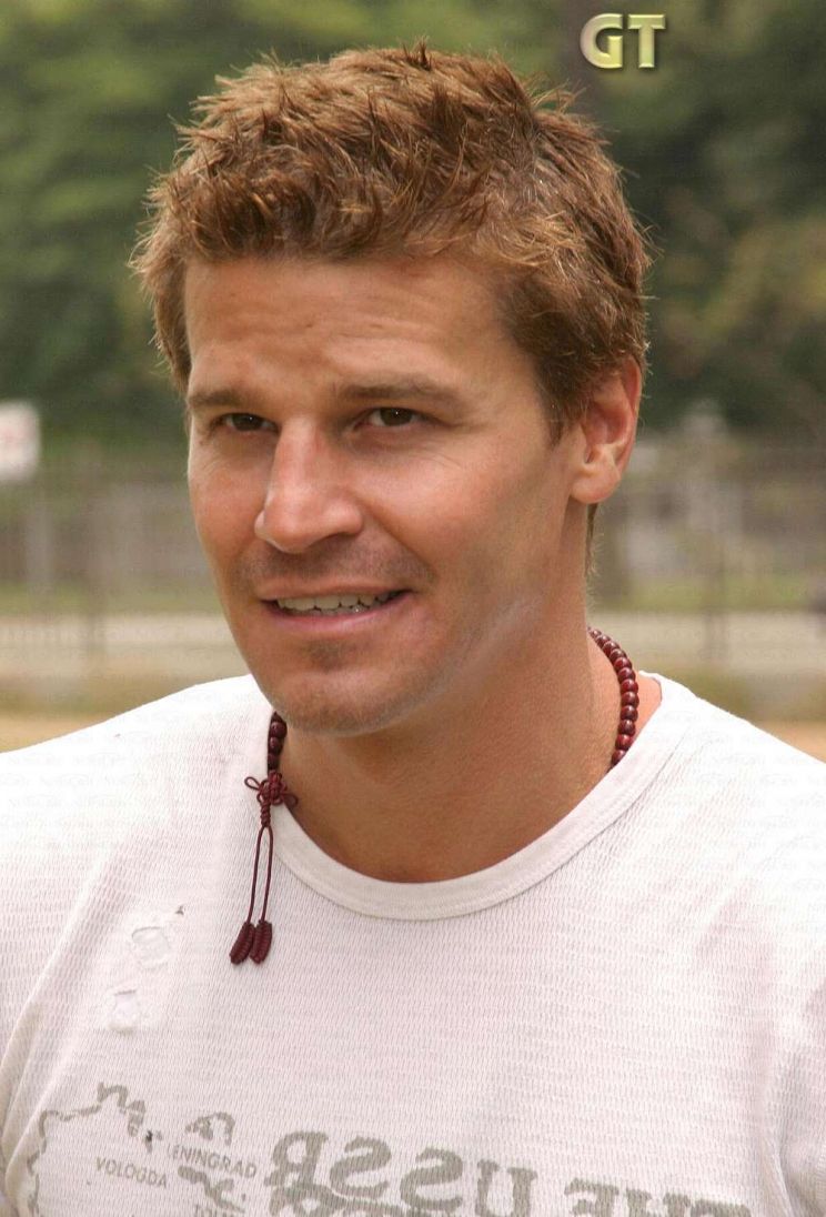 David Boreanaz