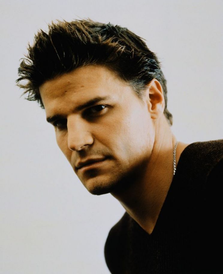David Boreanaz