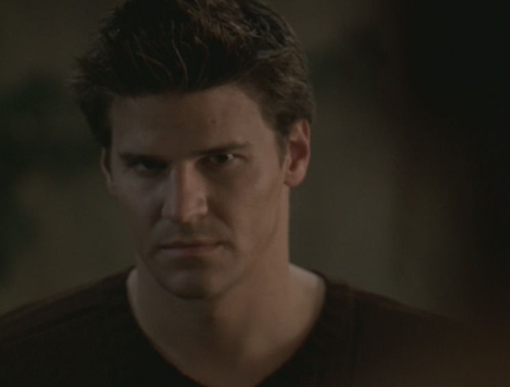 David Boreanaz