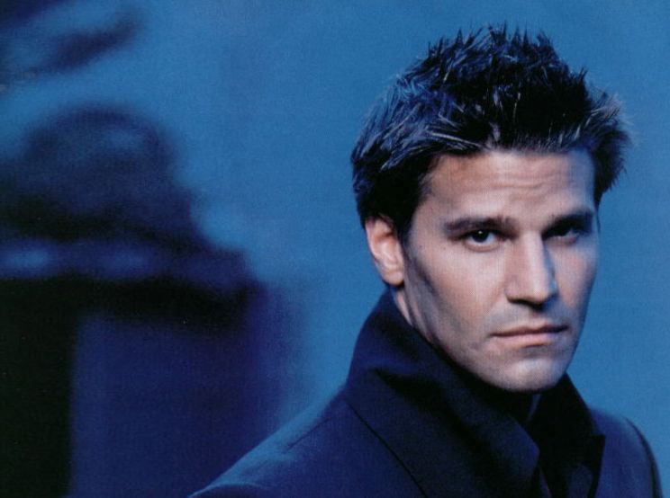 David Boreanaz